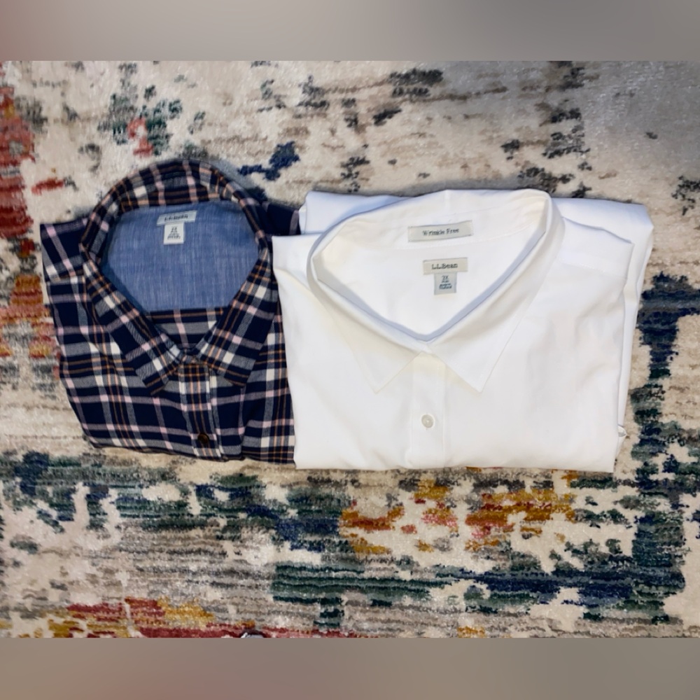 L.L. Bean White and Blue Casual Button Down Shirts